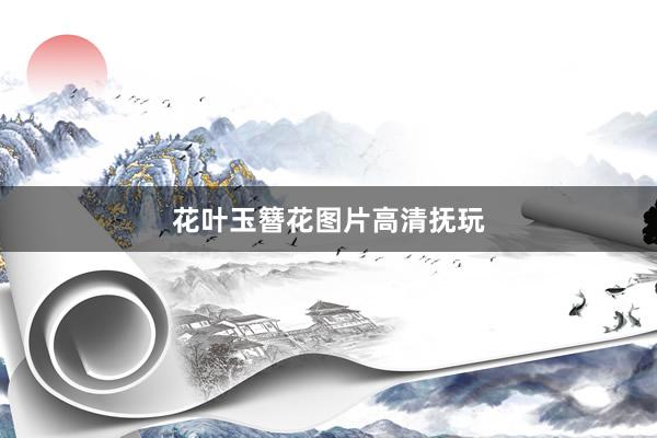 花叶玉簪花图片高清抚玩