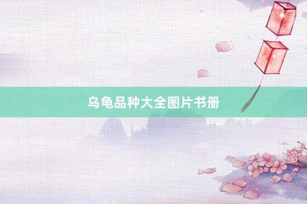 乌龟品种大全图片书册